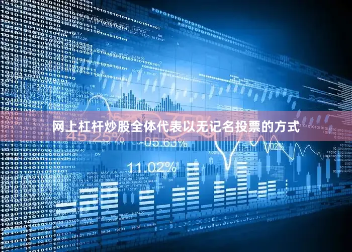 网上杠杆炒股全体代表以无记名投票的方式