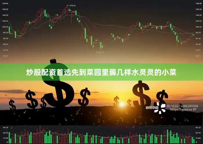 炒股配资首选先到菜园里薅几样水灵灵的小菜