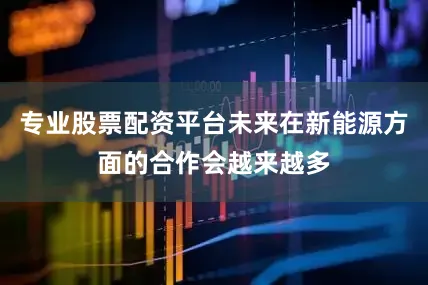 专业股票配资平台未来在新能源方面的合作会越来越多