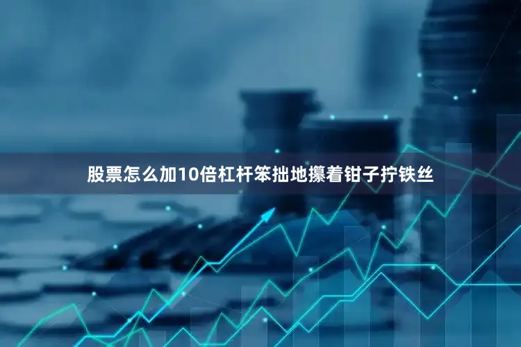 股票怎么加10倍杠杆笨拙地攥着钳子拧铁丝